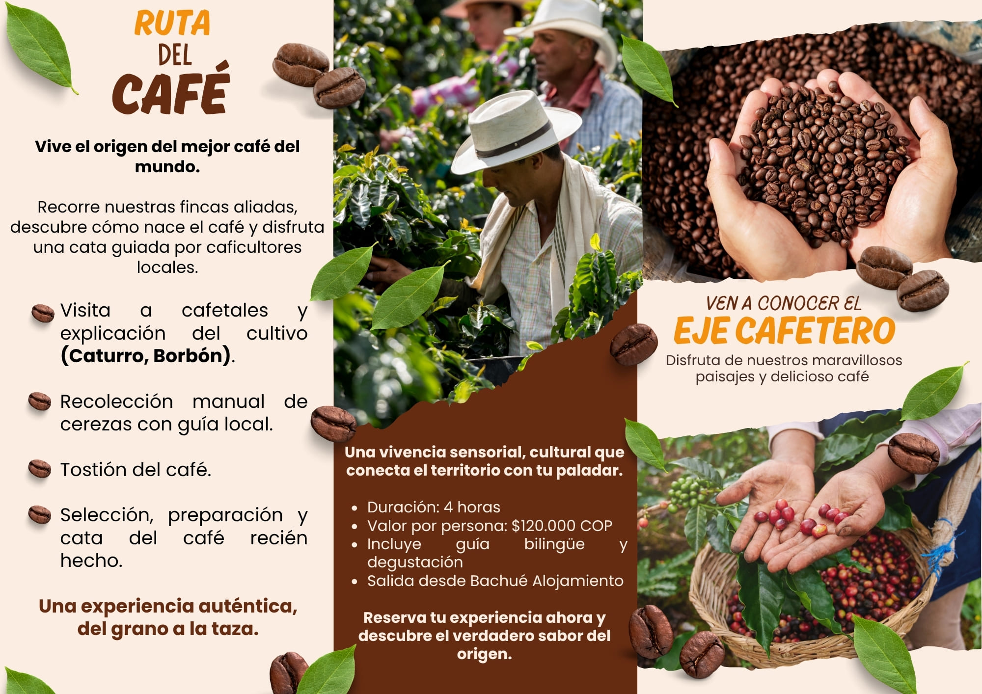 Triptico-agencia-de-viajes-eje-cafetero-tradicional-beige-cafe-2